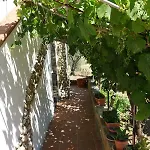 Villa Nero Bianco, Havre De Paix, Oliviers, Maison Et Piscine Privees Agrigento