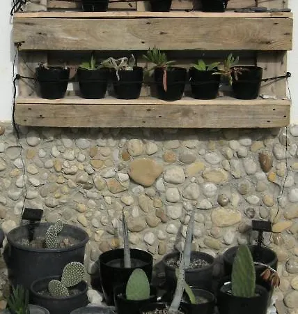 Nero Bianco, Havre De Paix, Oliviers, Piscine Privee Вилла