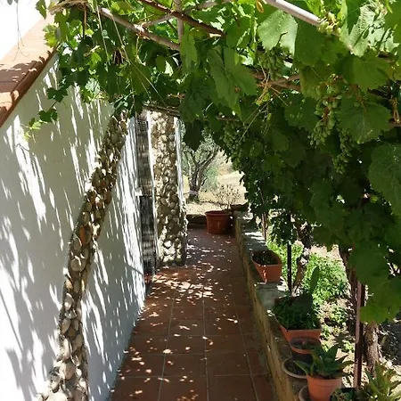 Villa Nero Bianco, Havre De Paix, Oliviers, Maison Et Piscine Privees Agrigento
