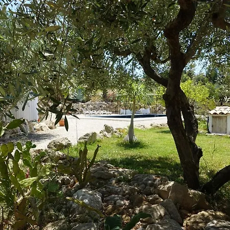 Nero Bianco, Havre De Paix, Oliviers, Piscine Privee * Agrigento