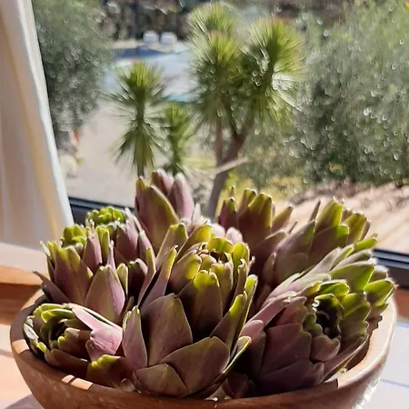 Nero Bianco, Havre De Paix, Oliviers, Piscine Privée Villa Agrigento