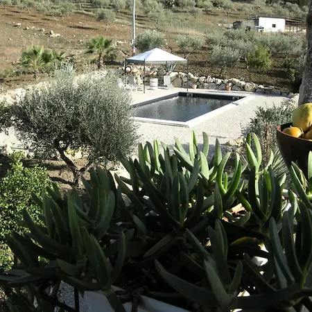 Nero Bianco, Havre De Paix, Oliviers, Piscine Privée Villa *