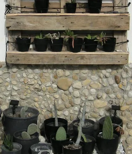 Nero Bianco, Havre De Paix, Oliviers, Maison Et Piscine Privees Villa