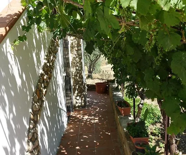 Villa Nero Bianco, Havre De Paix, Oliviers, Maison Et Piscine Privees Agrigento