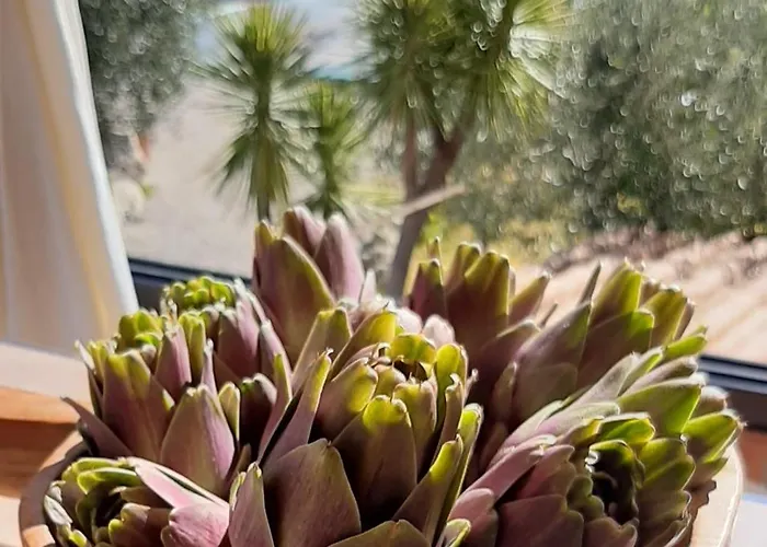 Nero Bianco, Havre De Paix, Oliviers, Piscine Privee فيلة أغريجنتو