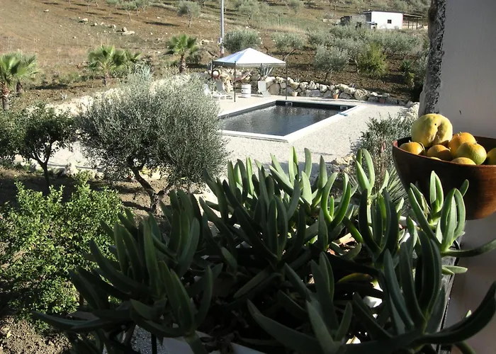 Nero Bianco, Havre De Paix, Oliviers, Piscine Privee فيلة *